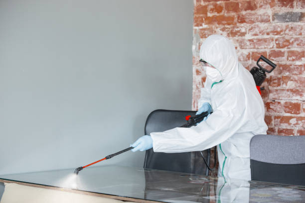 Best Mold Damage Restoration  in Marshall, TX