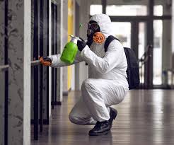 Best Industrial Mold Remediation  in Marshall, TX